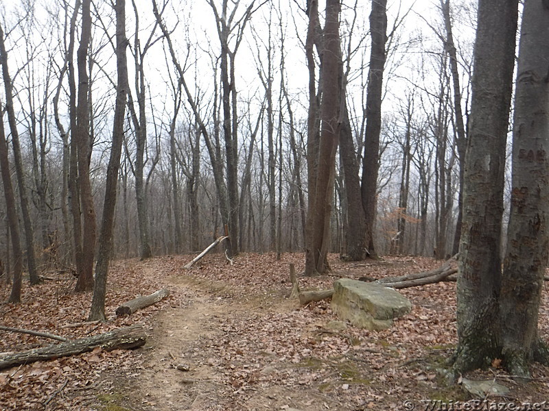 0896 2017.12.30 Rock Bench North Of Angel's Rest Rocks