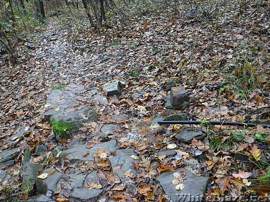 0904 2018.11.06 Piped In Water On Trail South Of Rice Field