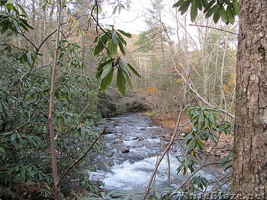 0913 2018.11.07 Pine Swamp Branch