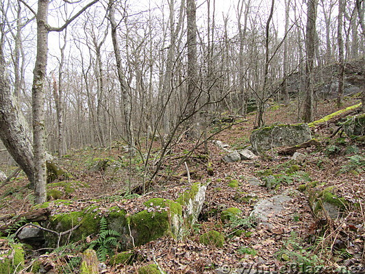 0919 2018.11.08 Rocky Trail North Of Bailey Gap Shelter