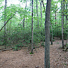 0928 2020.05.30 Campsite At War Spur Shelter by Attila in Virginia & West Virginia Shelters