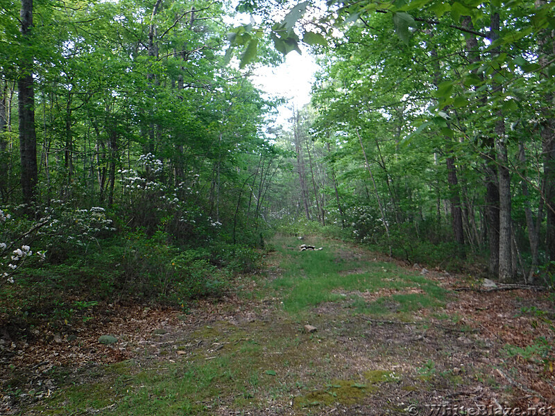 0934 2020.05.31 Large Campsite North Of Johns Creek