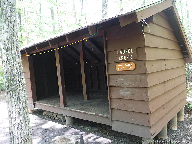 0937 2020.05.31 Laurel Creek Shelter