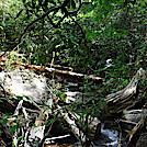 0938 2020.05.31 Rough AT Crossing Over Laurel Creek