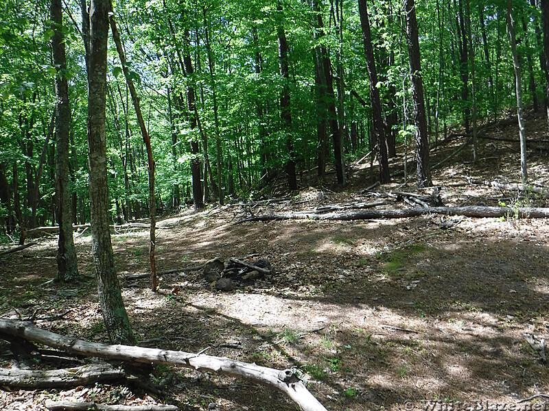 0939 2020.05.31 Nice Campsite ~15 Minutes North Of Laurel Creek