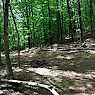 0939 2020.05.31 Nice Campsite ~15 Minutes North Of Laurel Creek by Attila in Views in Virginia & West Virginia