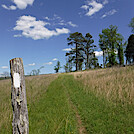 0940 2020.05.31 Farm Pasture South Of VA 42