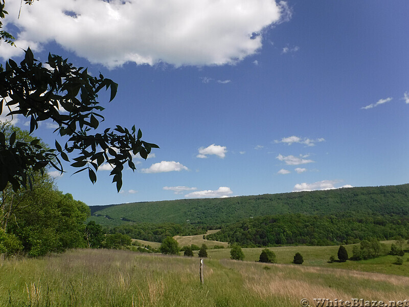 0941 2020.05.31 Entering Farm Pasture South Of VA 42