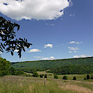 0941 2020.05.31 Entering Farm Pasture South Of VA 42