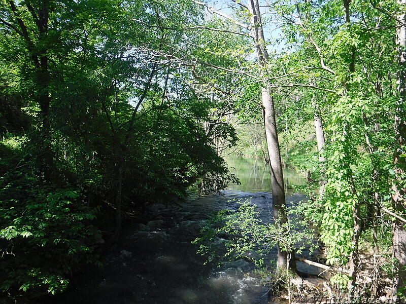 0946 2020.06.01 Sinking Creek