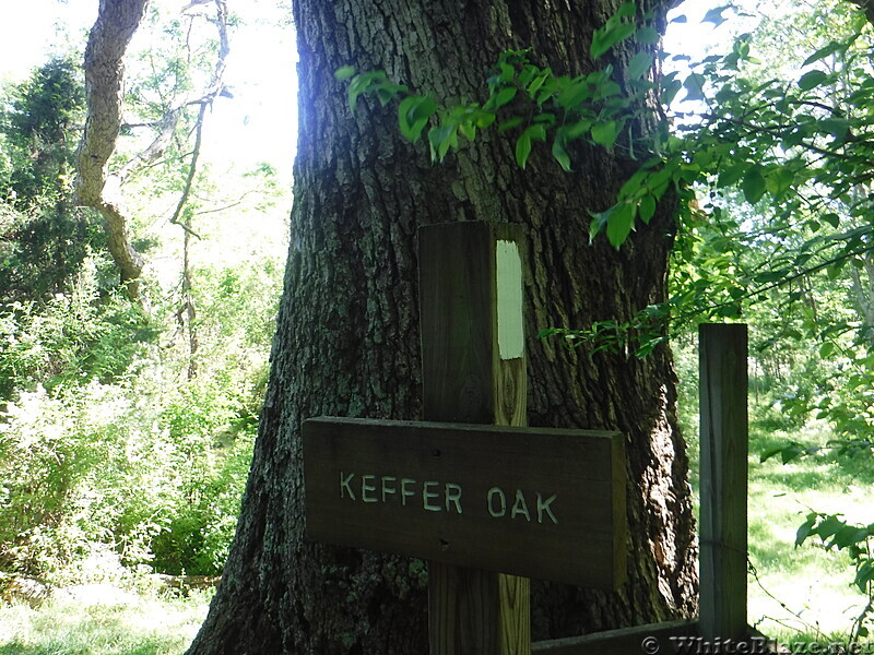 0949 2020.06.02 Keffer Oak Sign