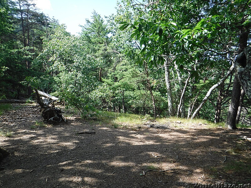 0965 2020.07.19 Campsite North Of Upper Craigs Creek Road VA 621