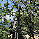 0977 2020.07.20 Dragon's Tooth by Attila in Views in Virginia & West Virginia