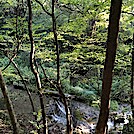 0984 2020.09.06 Remains Of Old Dam On Brook North Of VA 624 by Attila in Views in Virginia & West Virginia