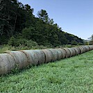 0987 2020.09.06 Pasture Between Catawba Creek And VA 785 by Attila in Views in Virginia & West Virginia