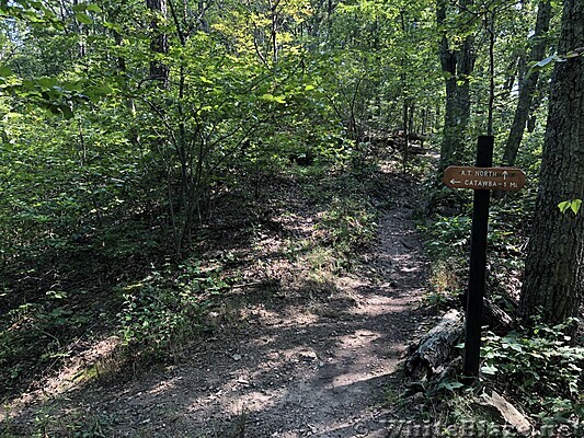 0992 2020.09.06 Catawba Trailhead