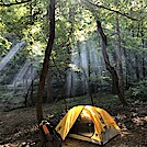 1005 2020.09.07 My Campsite North Of Lamberts Meadow Shelter