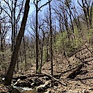 1011 2021.04.03 Curry Creek by Attila in Trail & Blazes in Virginia & West Virginia