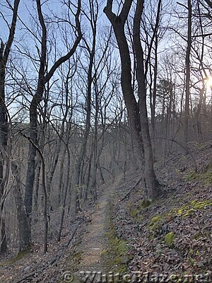 1014 2021.04.04 AT North Of Wilson Creek Shelter