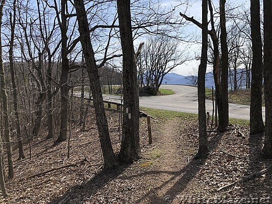 1015 2021.04.04 Taylors Mountain Overview