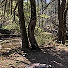 1029 2021.04.05 Jennings Creek by Attila in Views in Virginia & West Virginia