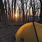 1031 2021.04.05 unset At Campsite on Fork Mountain Summit by Attila in Trail & Blazes in Virginia & West Virginia