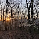 1032 2021.04.06 Sunrise At Campsite On Fork Mountain Summit by Attila in Views in Virginia & West Virginia