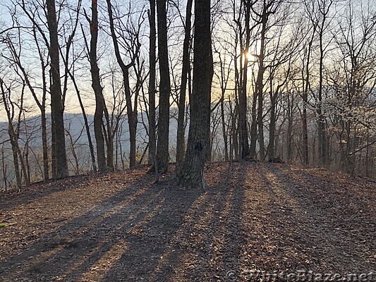 1033 2021.04.06 Campsite Next To AT On Fork Mountain Summit