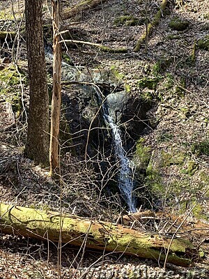 1036 2021.04.06 Stream North Of Bryant Ridge Shelter