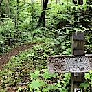 1038 2021.05.29 Bryant Ridge Shelter Sign by Attila in Trail & Blazes in Virginia & West Virginia