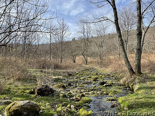 1073 2022.04.15 Spring Below Hog Camp Gap Campsite