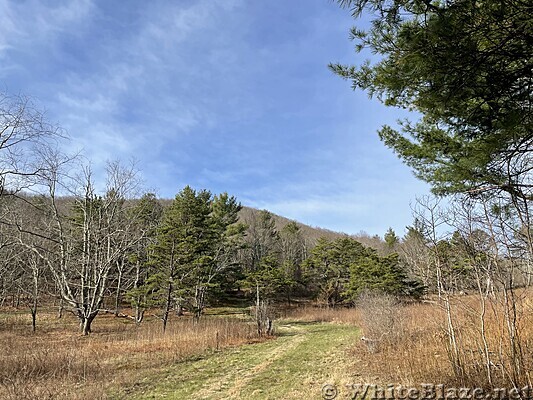 1074 2022.04.15 Sidetrail To Watersource And Campsites At Hog Camp Gap
