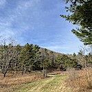 1074 2022.04.15 Sidetrail To Watersource And Campsites At Hog Camp Gap by Attila in Trail & Blazes in Virginia & West Virginia