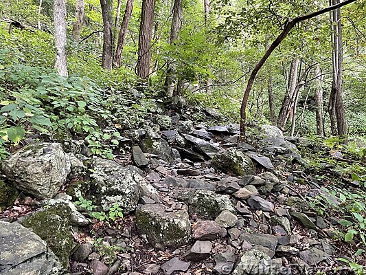 1094 2022.09.05 Rocky Trail North Of Three Ridges Overlook