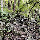 1094 2022.09.05 Rocky Trail North Of Three Ridges Overlook by Attila in Trail & Blazes in Virginia & West Virginia