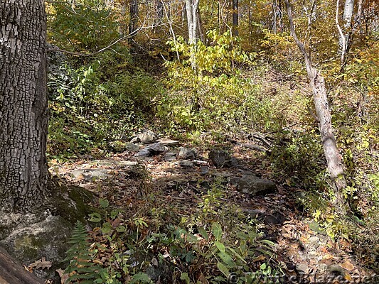 1097 2022.10.22 Piped Spring North Of Humpback Rocks