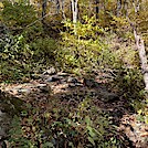 1097 2022.10.22 Piped Spring North Of Humpback Rocks by Attila in Trail & Blazes in Virginia & West Virginia