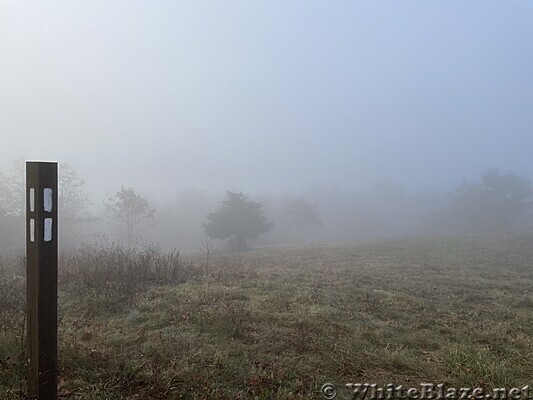 1108 2022.10.24 Foggy Morning On Little Calf Mountain