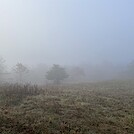 1108 2022.10.24 Foggy Morning On Little Calf Mountain