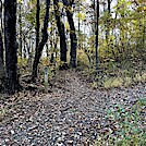 1110 2022.10.24 AT Crossing Bucks Elbow Road by Attila in Trail & Blazes in Virginia & West Virginia