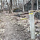 1125 2023.03.19 Spring On The AT North Of Hightop Hut by Attila in Virginia & West Virginia Shelters