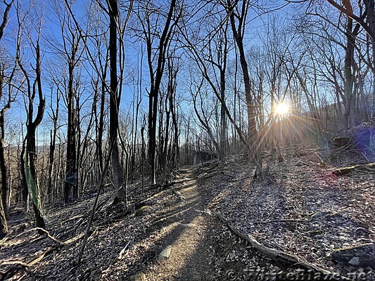 1127 2023.03.19 AT North Of Hightop Mountain