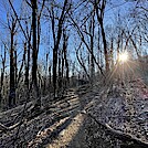 1127 2023.03.19 AT North Of Hightop Mountain by Attila in Trail & Blazes in Virginia & West Virginia