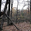 1057 2021.11.12 Swampy Pond At Punch Bowl Shelter