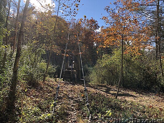 1061 2021.11.13 Pedlar River Suspension Bridge