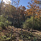 1061 2021.11.13 Pedlar River Suspension Bridge by Attila in Trail & Blazes in Virginia & West Virginia