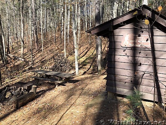 1065 2021.11.13 Brown Mountain Shelter