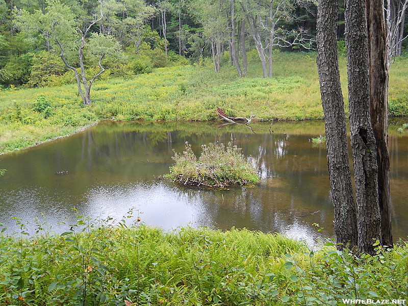 Susquehannock Trail