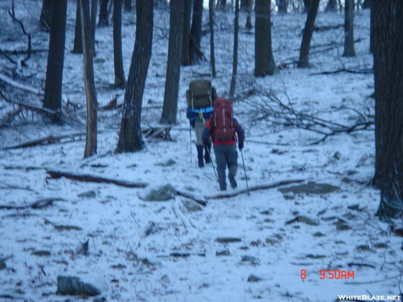 Harriman State Park In Winter