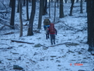 Harriman State Park In Winter